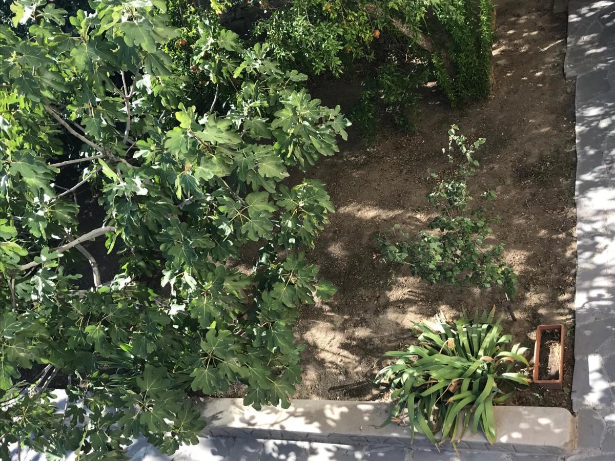 טביליסי Guest House Eden מראה חיצוני תמונה
